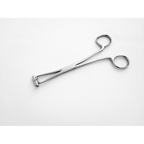 True Septum Forceps 6.25